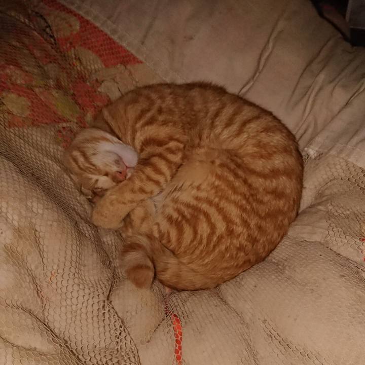 3486562d 5299 4241 a633 916cc12d0fc4 1640813090516