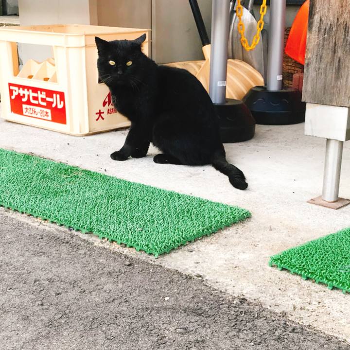 34866106 f3cf 497d b5fa 280dfa4a42a6 1521873609371