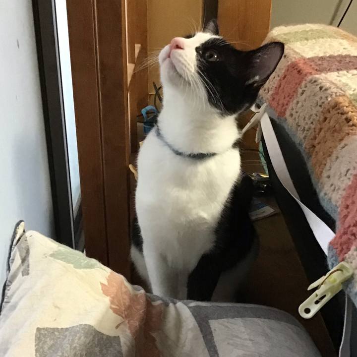 3486635b d7f2 42af 8212 bad9b0de182a 1634028740511