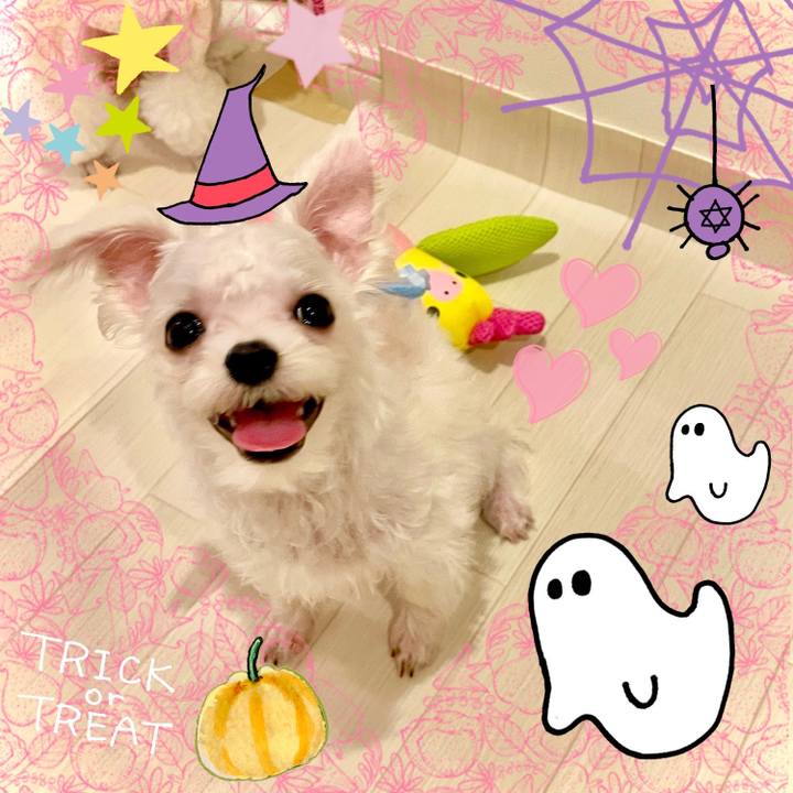 34867390 8e52 4d6b 9b69 6419f0bade23 1633576274231