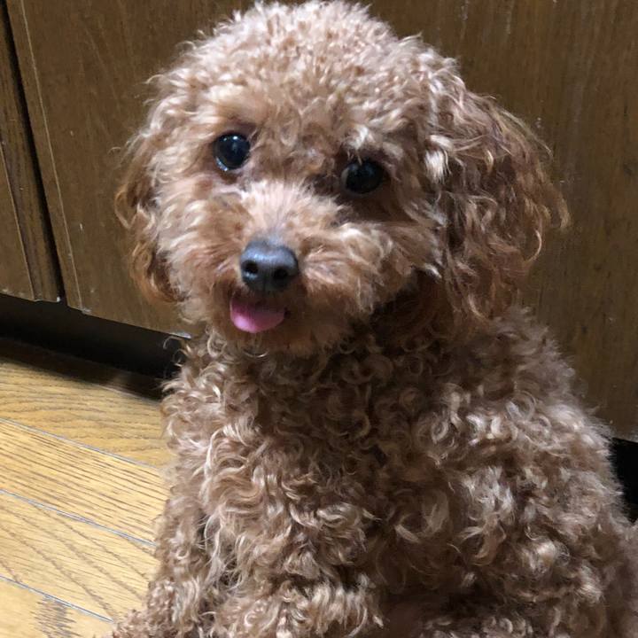 34867dfd ac3a 4091 9b32 b8c7585ea3c5 1525081664556