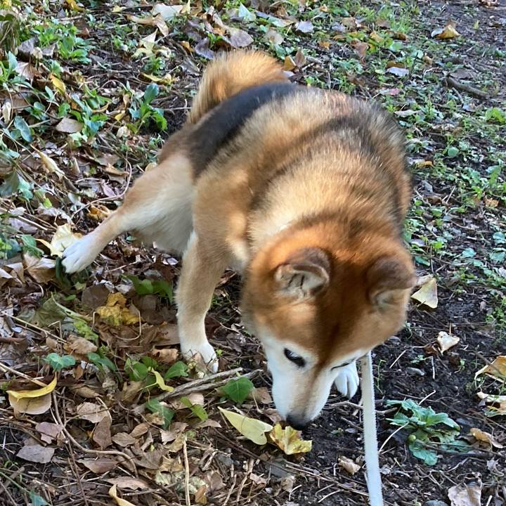 34867e1b 30b0 4f35 b2fd 380f7cfb7b08 1732877227105