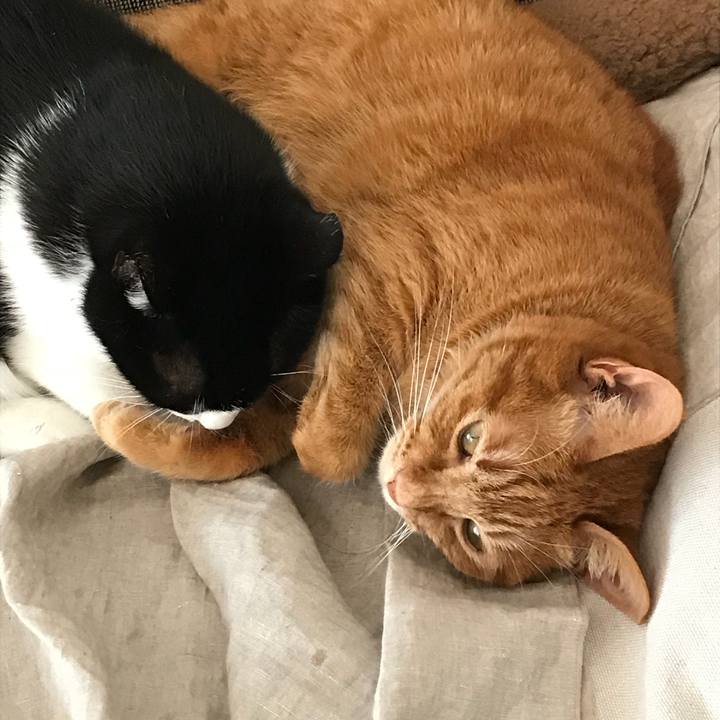 348692a2 6ca9 43d4 ac6f bad64d88cc6d 1521094108853