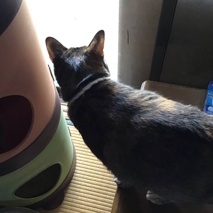 3486a08c adb4 488b 84d7 a611a44eb45e 1747297290062