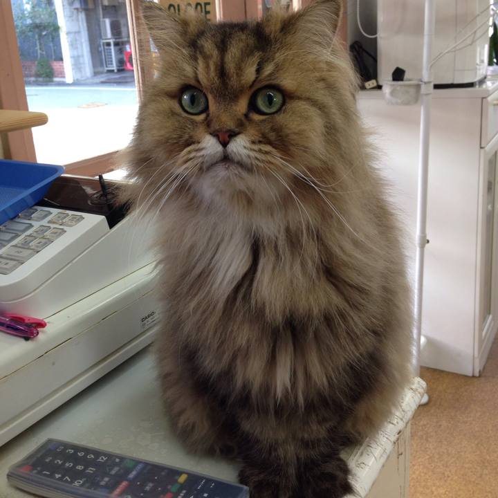 3486afd5 b183 428f 96c6 1f2e1ad7e94b 1512261048075