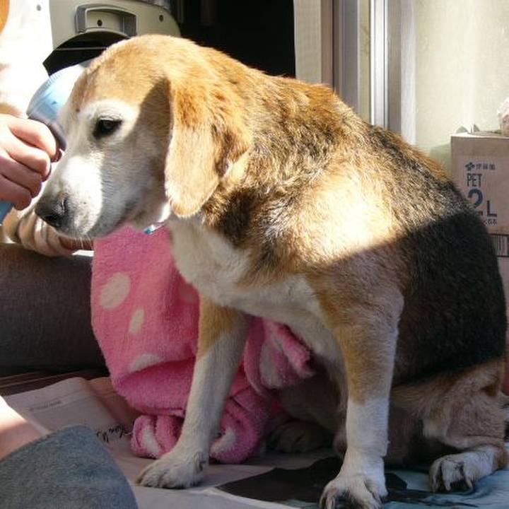 3486c460 eddd 4a84 89d1 23b2f8f38848 1649552182388