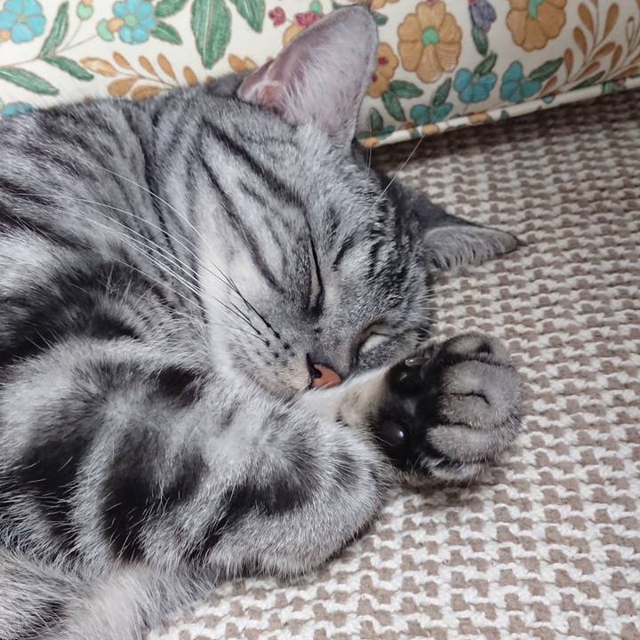 3486d911 1908 4f48 8763 6bfada0d3af5 1585783147318