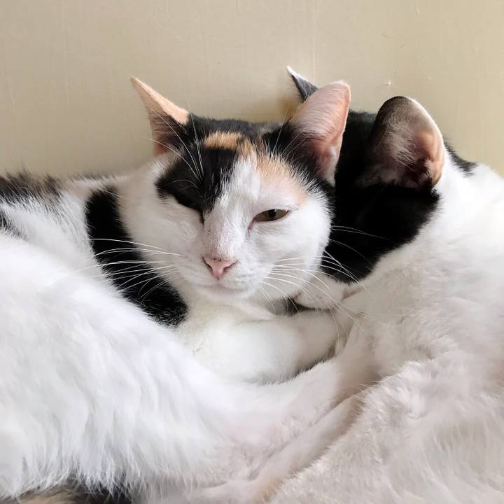 3486db6b 6c5a 47e6 a9b9 b3bff0cff82e 1507854602886