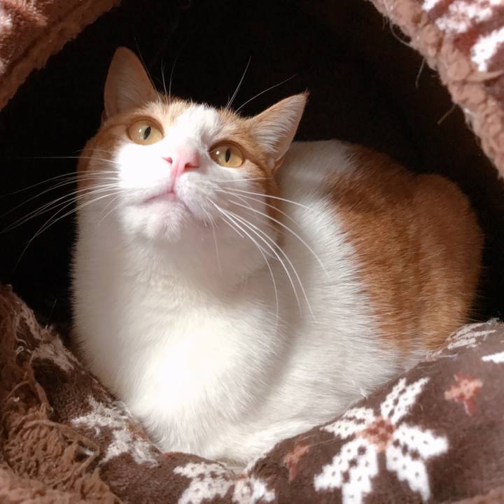 3486e375 a9c0 4507 9cb9 9d10dfd757b4 1520748635194