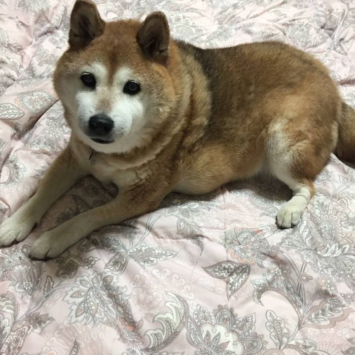 348725c9 a6b1 4539 91cf d3f11e33bf93 1562077881863