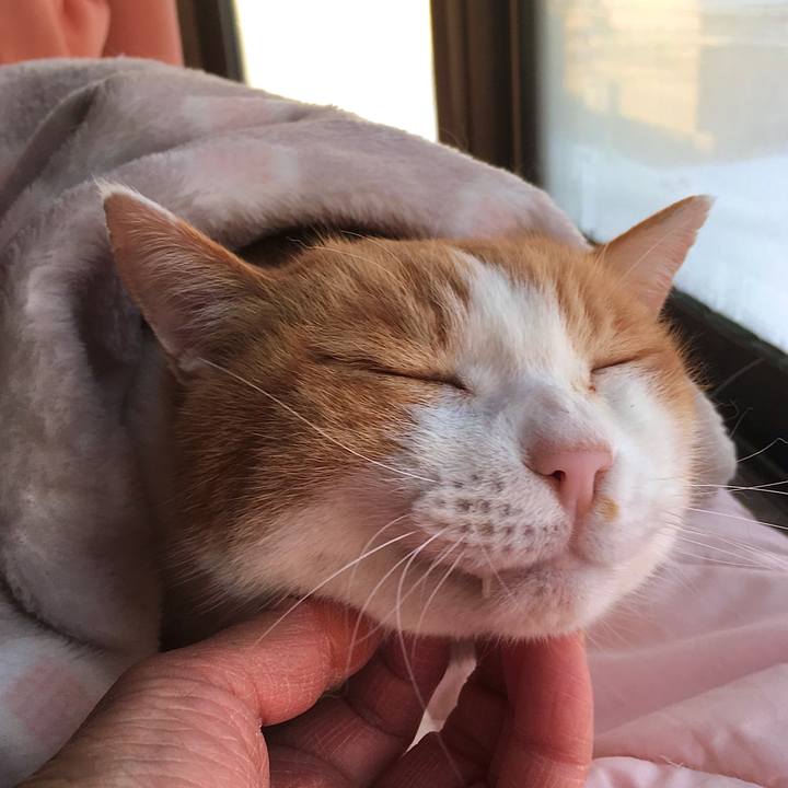 34874696 8ca1 446c 985e 8128243fb8f4 1613630425338