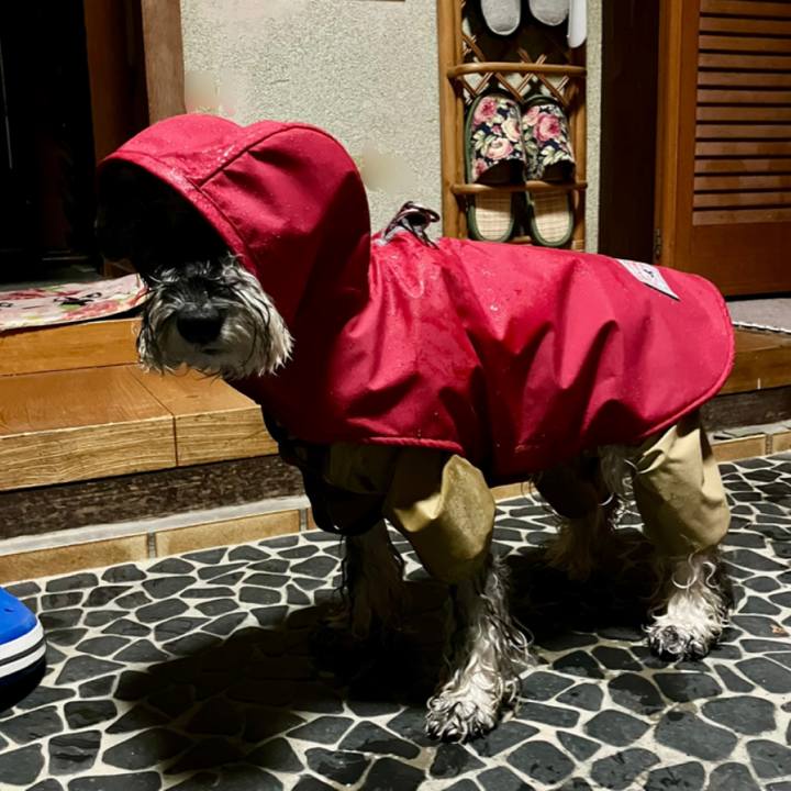 34876a46 8c73 4fc4 8b77 3e685c394bc6 1732891524034