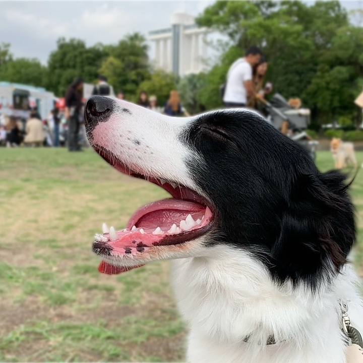 3487799b f387 4ec5 9c89 6a93a6ddf3b2 1759045395918