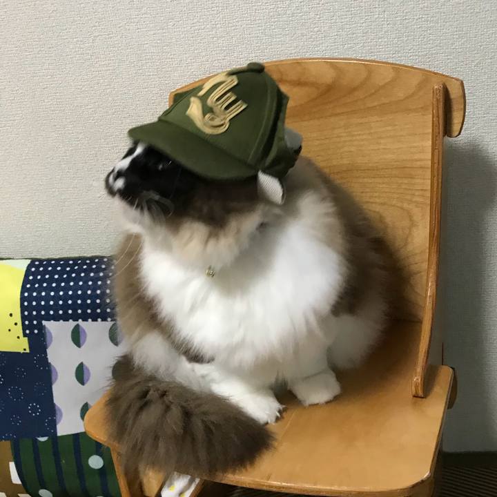 34878da9 abd3 42bf b4c6 5389274c0eca 1524091709846