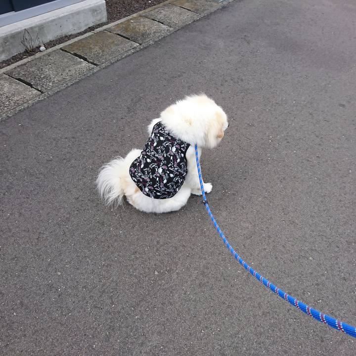 3487beeb a4fe 4219 ae2a 93c108d88428 1534024207219