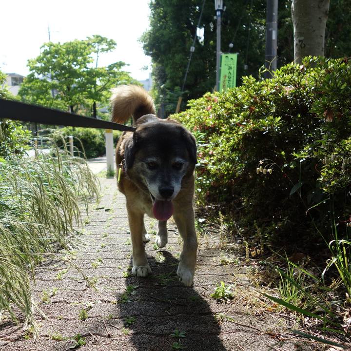 3487d77c 93ca 4ed0 bc7f 12d994d5bdf5 1527125763480