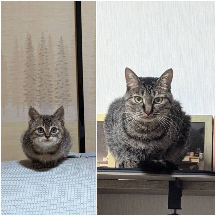 3487f1a5 cdf0 4c18 aabe 81b547ec700d 1741344153052