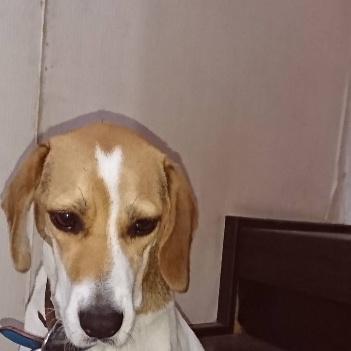 3488018a e617 406f 87e2 597039032344 1574825626289