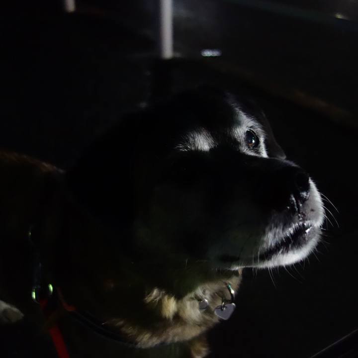 34883ec3 ad86 4320 a162 dedcd1bb9a7b 1546686920974