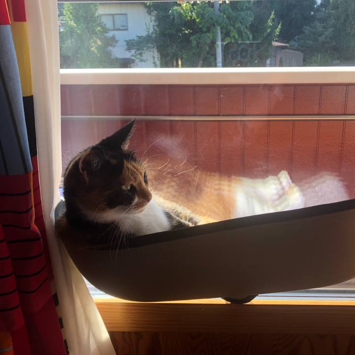 348865f8 3f01 45fc b039 3804ff8319c1 1570575448556