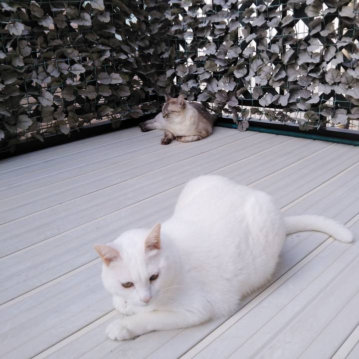 348869a9 eb48 4194 aadc ca88433f4c3c 1570407557865