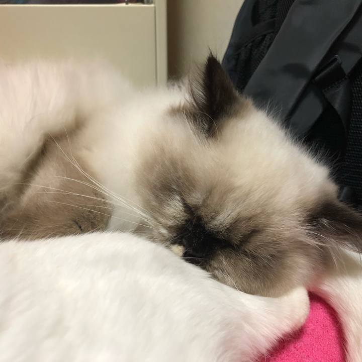 34887c07 9a88 4c34 ac65 5651e64c890e 1635683271054