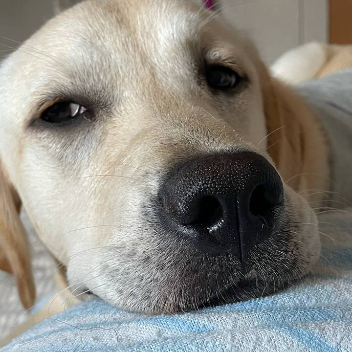 34888089 7934 42a7 93c0 32e3a22429f0 1623420202305