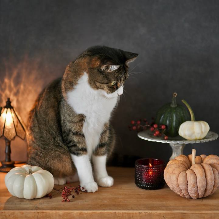 3488bebe 1147 4af7 a125 34effad260a6 1761875559835