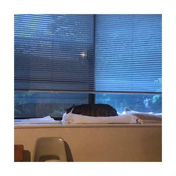 3488c3e5 5457 4fd7 a63e eb7b767567d1 1650965181167