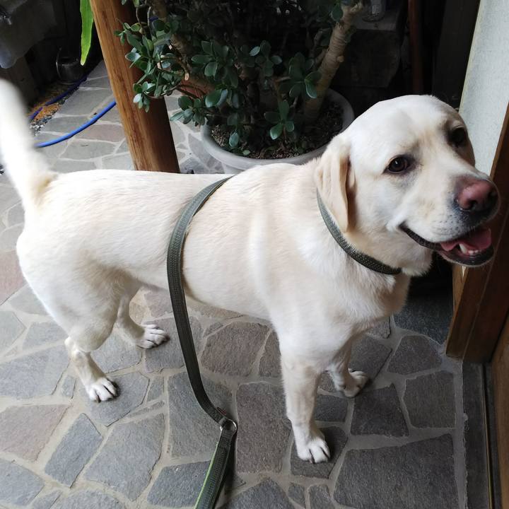 3488c413 43f3 48d7 a69b eaa7c48638fa 1529717879562