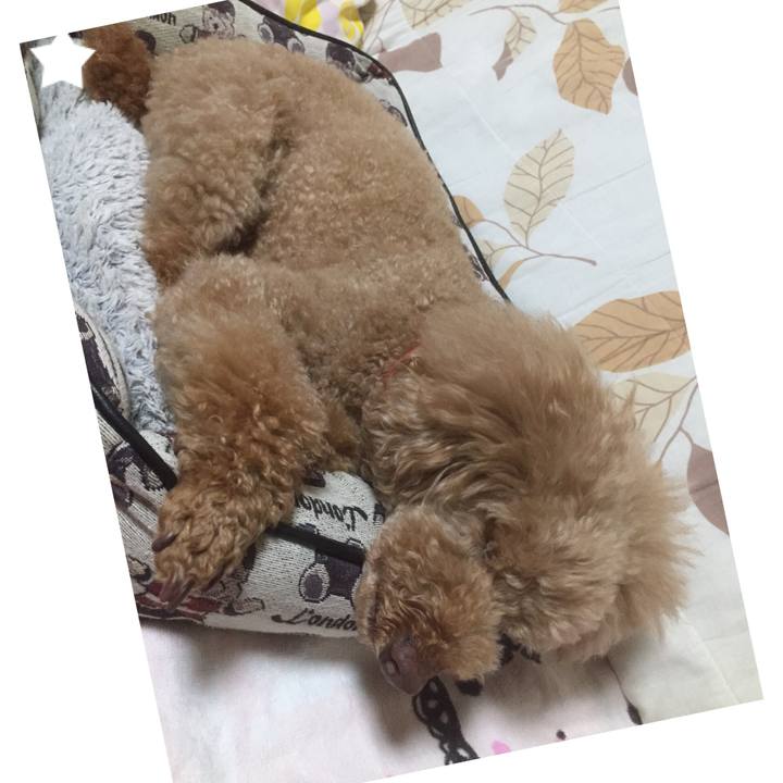 3488c6ee ee77 434b 9748 805feb85da52 1527336075058