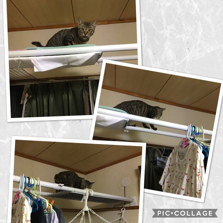 3488c894 fece 45b1 877c e06ed3949901 1540212621728