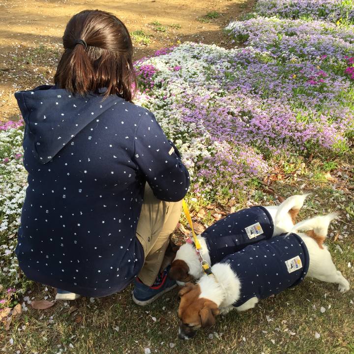 3488d720 cb0d 4a58 a54f 3cee964a2f7e 1523780849037