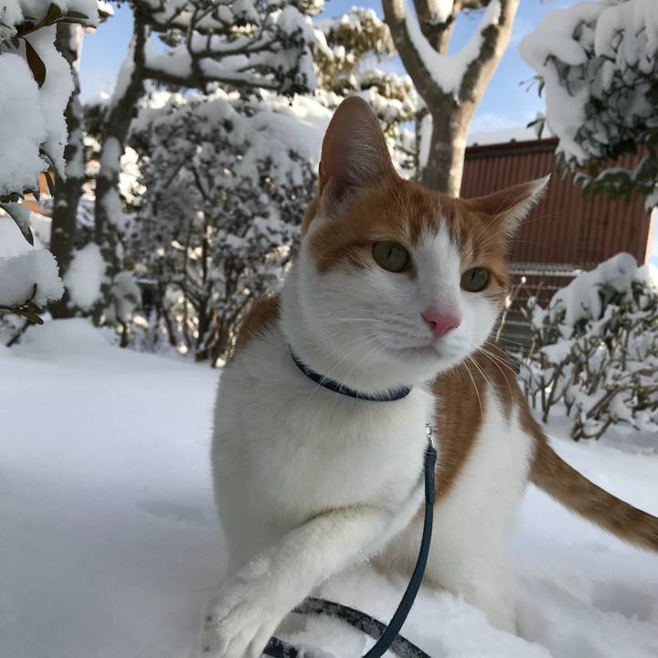 3488f644 49d8 4889 933f 6d9aa901ea06 1516666492991