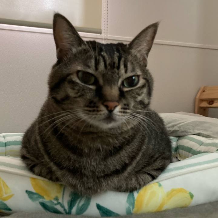 348935fa 6257 4f69 b8f2 0a5f7f0b92f5 1666049087725