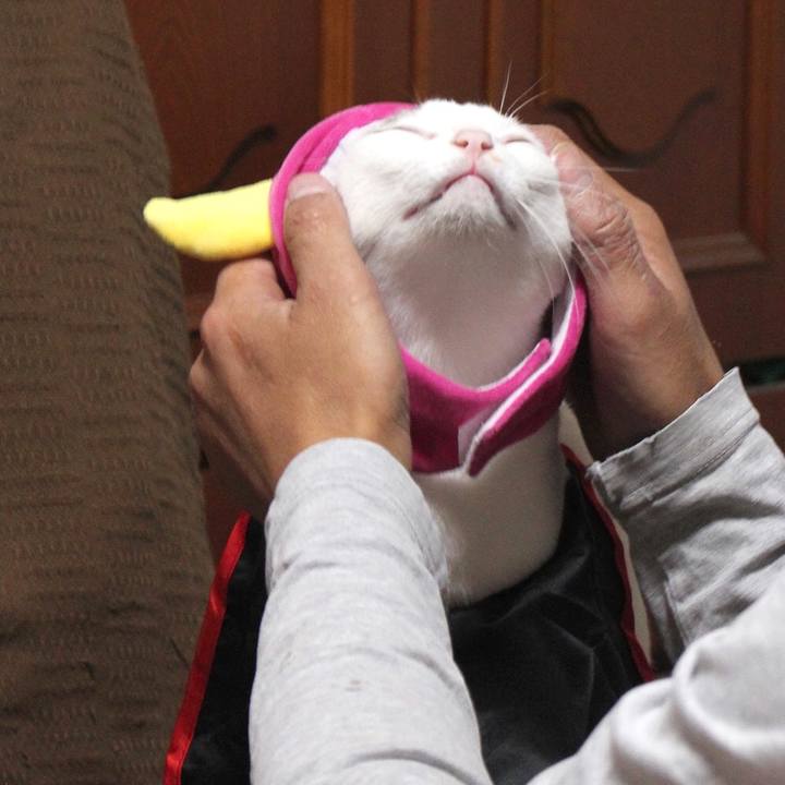 34898e95 8e72 44bd 8ece 7ba17c0ff15c 1605487556049