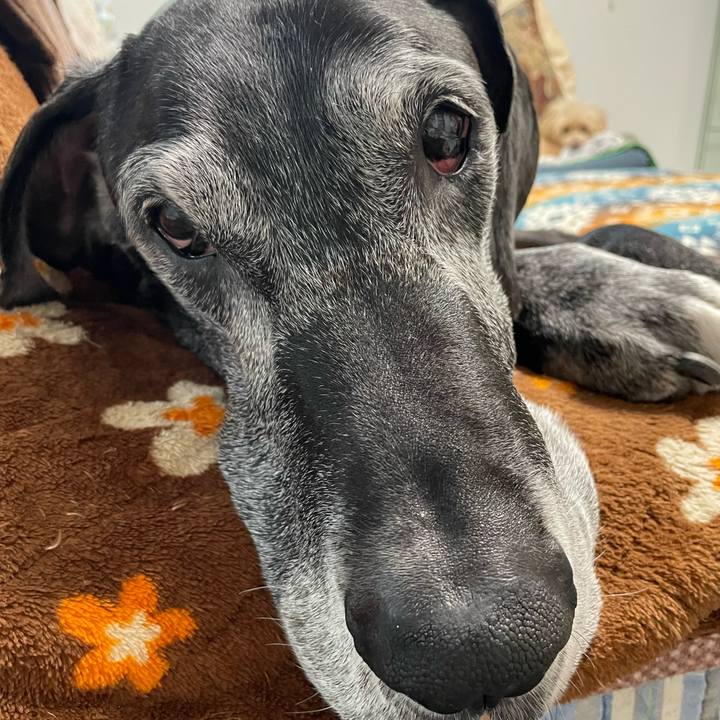 3489b1f5 d352 4f24 8529 e5d51624e76a 1647555624780