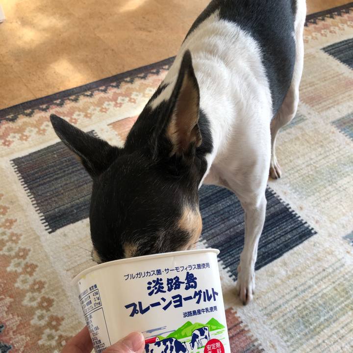 3489c8d2 c56e 44bf 8622 ab0f90b92855 1541325505541