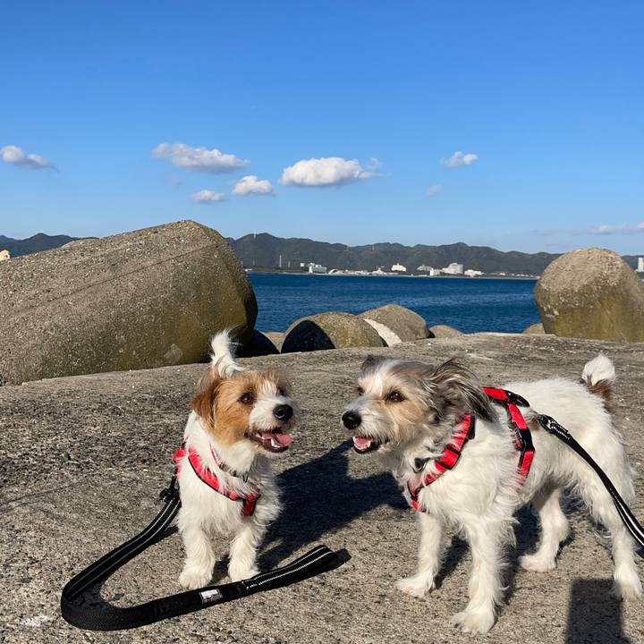 3489e29b 2e9a 4188 83a7 44139d246a71 1764587816677