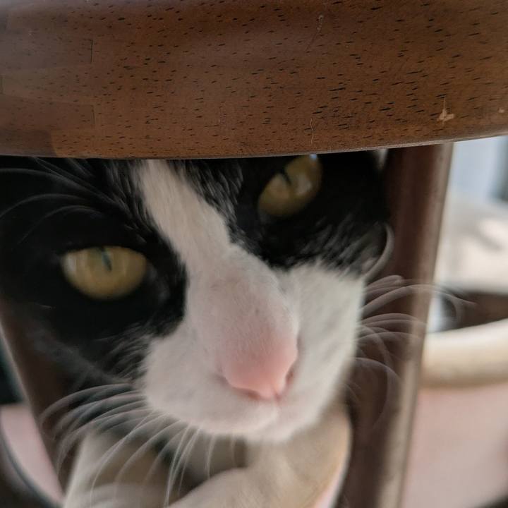 3489ea55 b4c8 45ea b375 226cf4827def 1747120845694