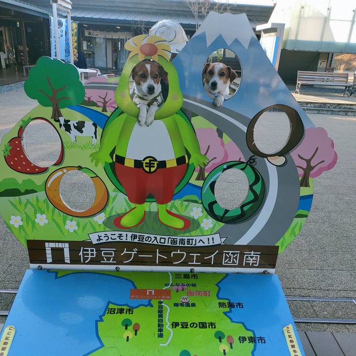 3489f33d e218 4ab5 9fa9 4b250f0583f9 1768565472905