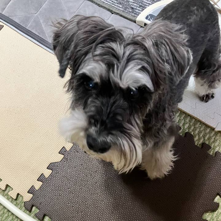 348a296d f8e9 40d7 a2e4 0960c43e2f50 1774389815304