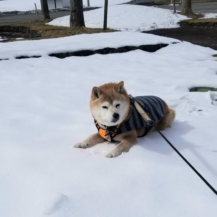 348acd63 4735 4151 8397 e3cf842d030b 1708748204635