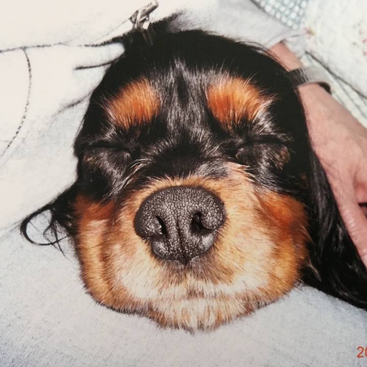 348ad0dd e3c1 4ff8 885a 5e8a352fcff4 1516352310862