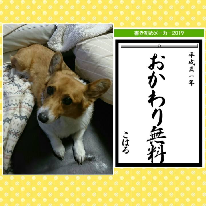 348b0d1e 9f0c 4d8c 854c 693abe17aa39 1546474346331