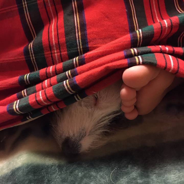 348b1224 e228 48c8 998e c336a53d1f0e 1515935338788