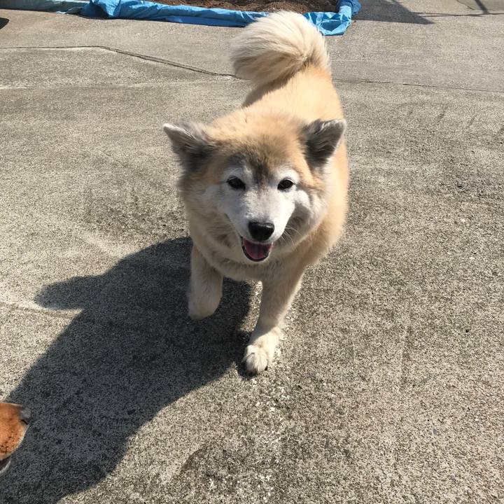 348b1500 137f 484a bb31 fedbdc8d19e2 1522286154928