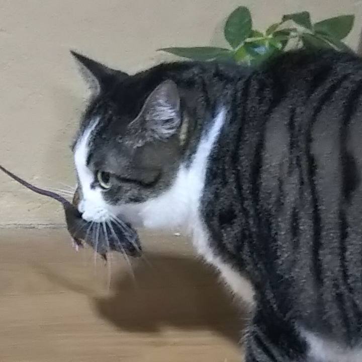 348b5be6 48dc 4567 bd8f d24ba12df9f4 1601589192190