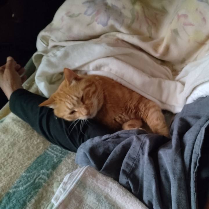 348b80ea 4617 401d 8bed a9e4149e3b2d 1749164103844