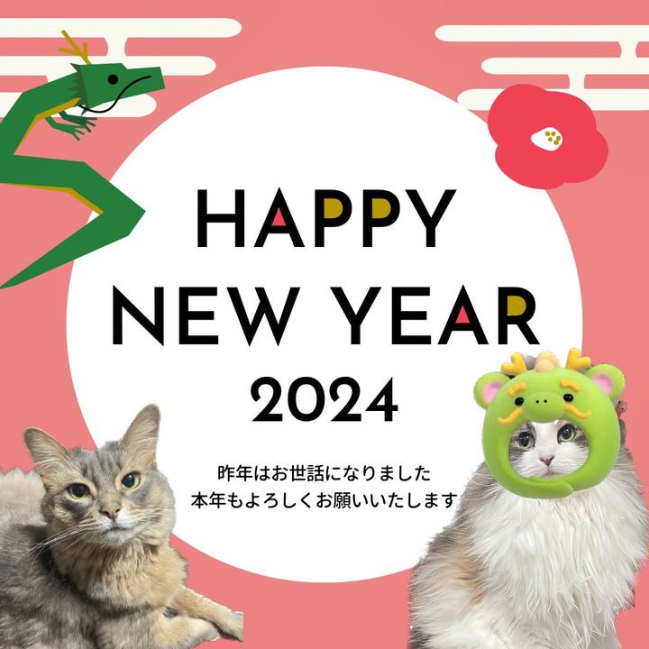 348b8201 6ec6 4257 8f5b 12c3de940a9b 1704628265618